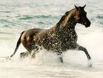 20070617203938-images.jpg